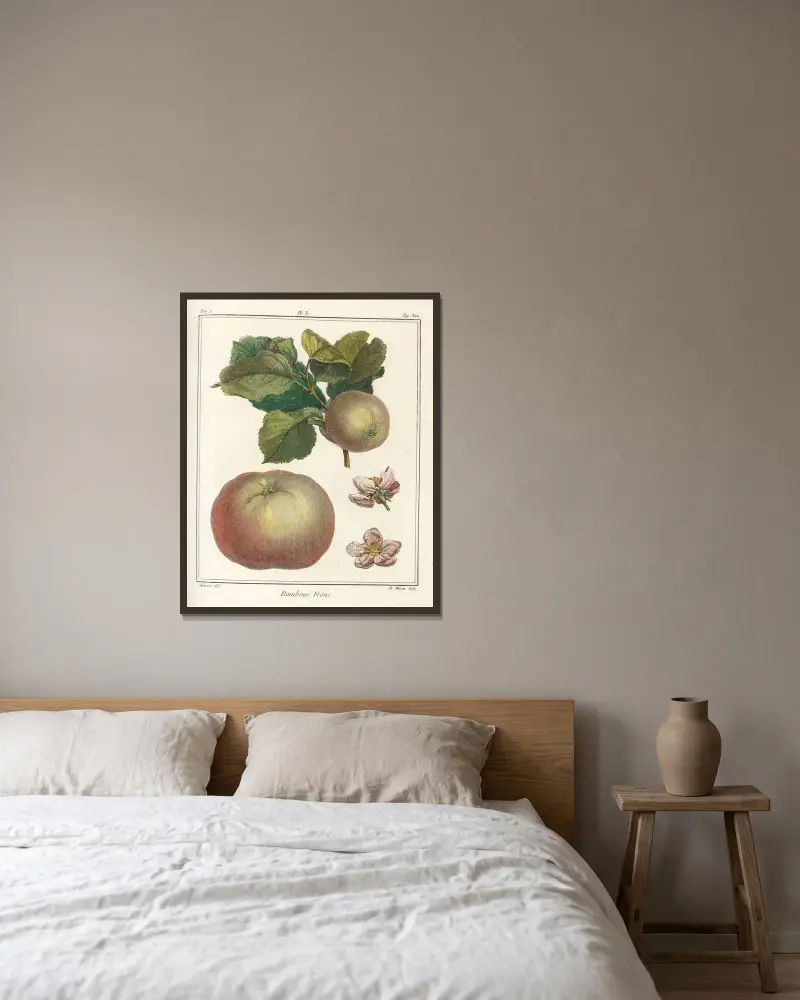 Traité des arbres fruitiers Pl.51 av Henri-Louis Duhamel du Monceau inramad på en vägg