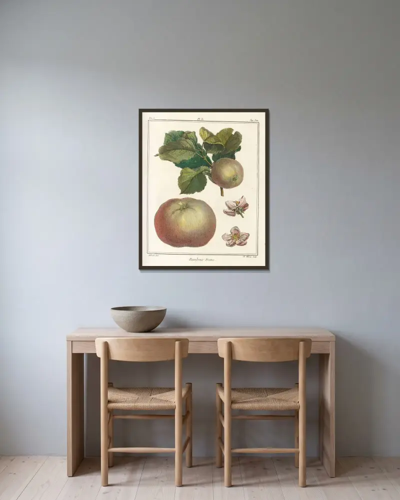 Traité des arbres fruitiers Pl.51 av Henri-Louis Duhamel du Monceau inramad på en vägg