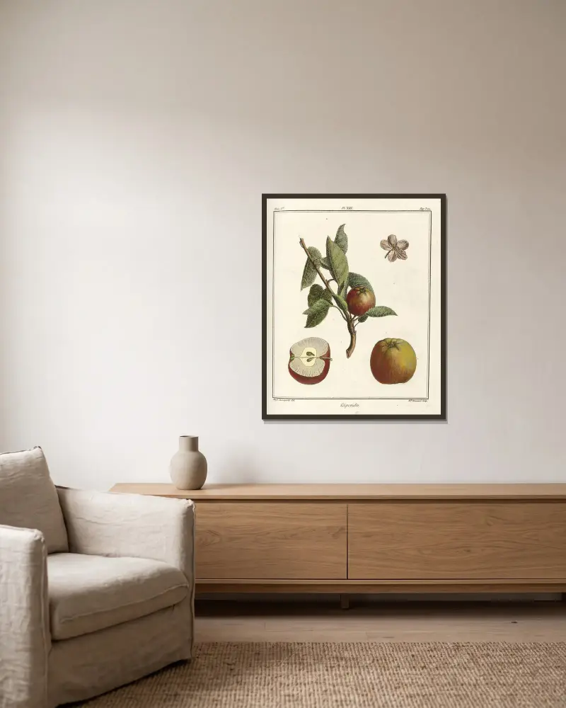 Traité des arbres fruitiers Pl.54 av Henri-Louis Duhamel du Monceau inramad på en vägg