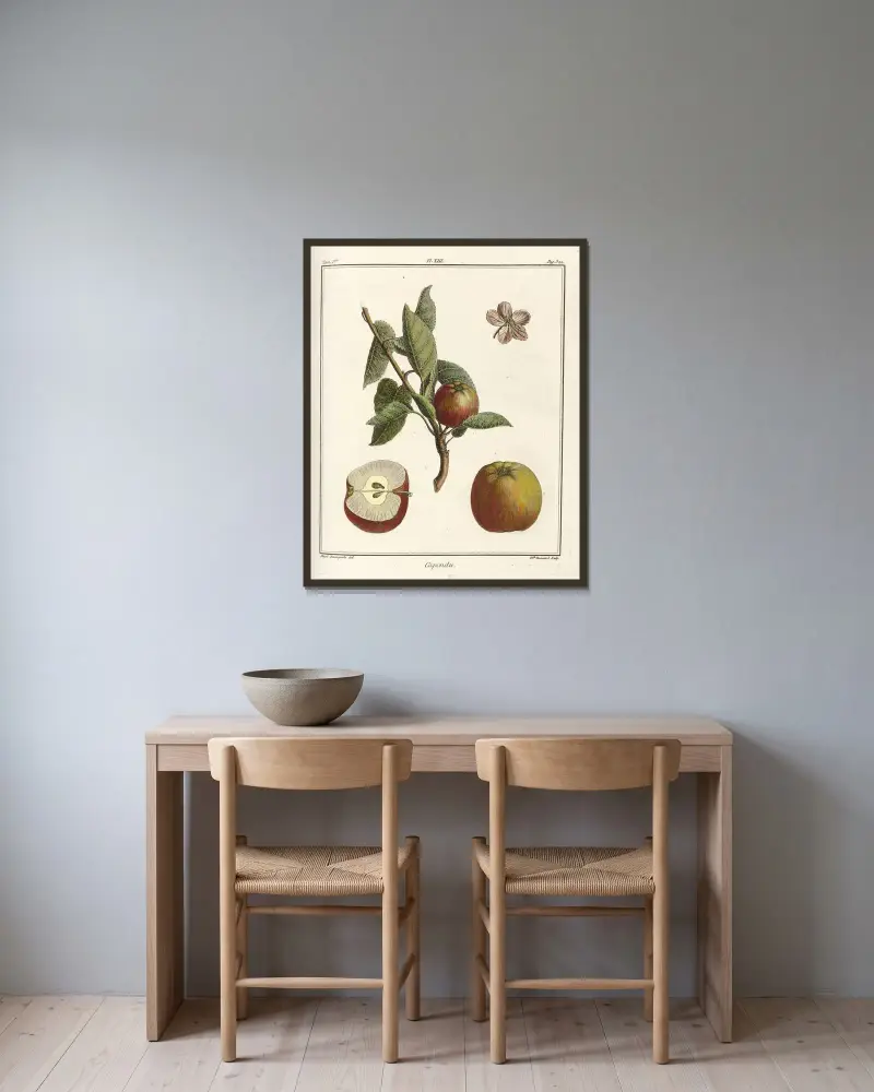 Traité des arbres fruitiers Pl.54 av Henri-Louis Duhamel du Monceau inramad på en vägg