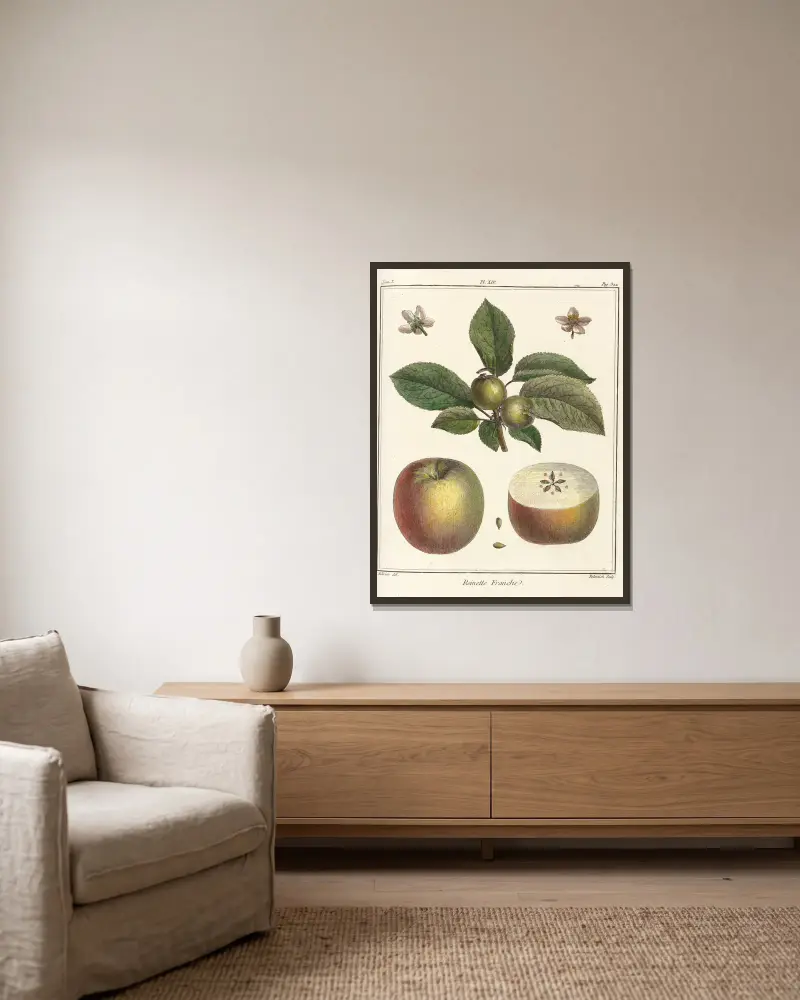 Traité des arbres fruitiers Pl.55 av Henri-Louis Duhamel du Monceau inramad på en vägg