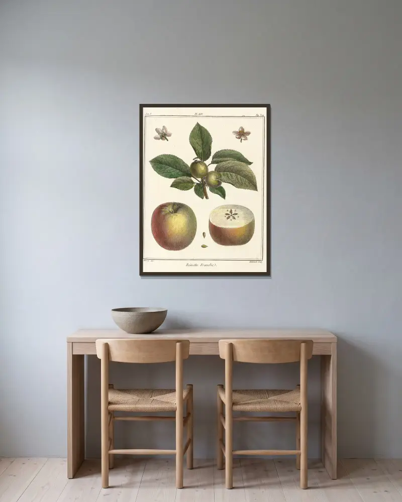 Traité des arbres fruitiers Pl.55 av Henri-Louis Duhamel du Monceau inramad på en vägg