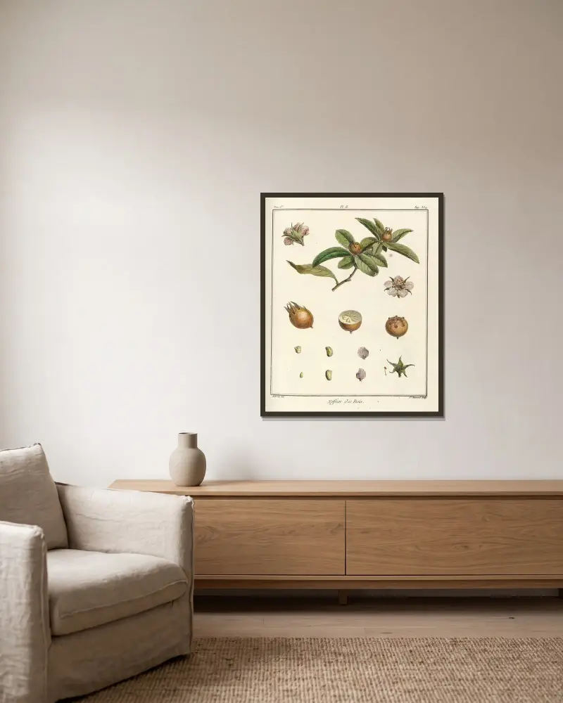 Traité des arbres fruitiers Pl. 57 von Henri-Louis Duhamel du Monceau gerahmt an einer Wand