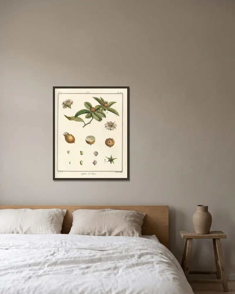 Traité des arbres fruitiers Pl. 57 von Henri-Louis Duhamel du Monceau gerahmt an einer Wand