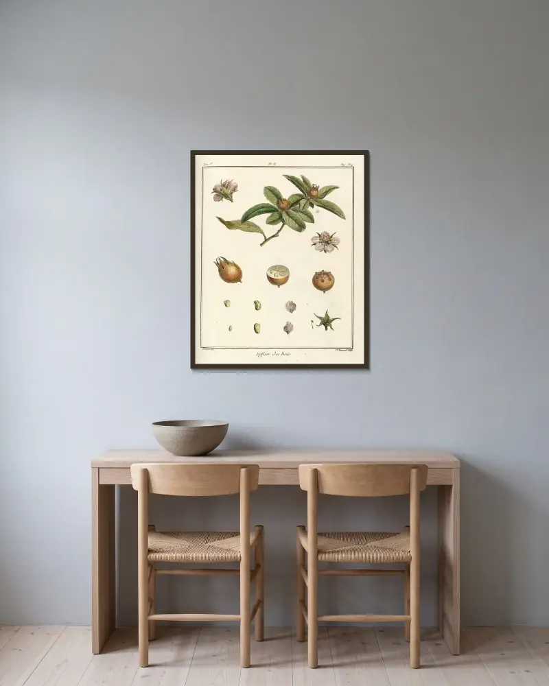 Traité des arbres fruitiers Pl. 57 von Henri-Louis Duhamel du Monceau gerahmt an einer Wand
