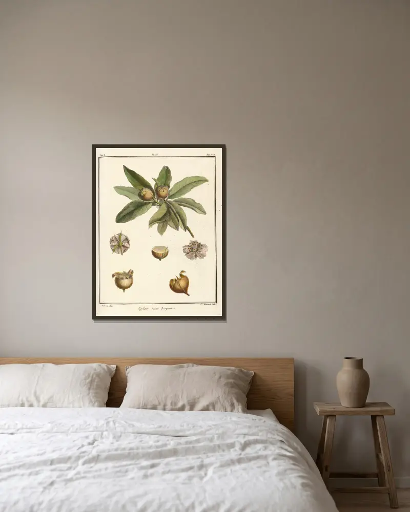 Traité des arbres fruitiers Pl.59 av Henri-Louis Duhamel du Monceau inramad på en vägg