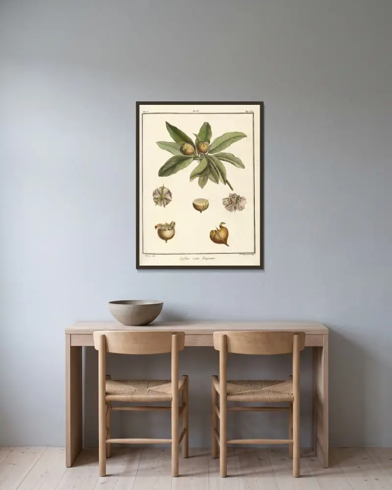 Traité des arbres fruitiers Pl.59 av Henri-Louis Duhamel du Monceau inramad på en vägg