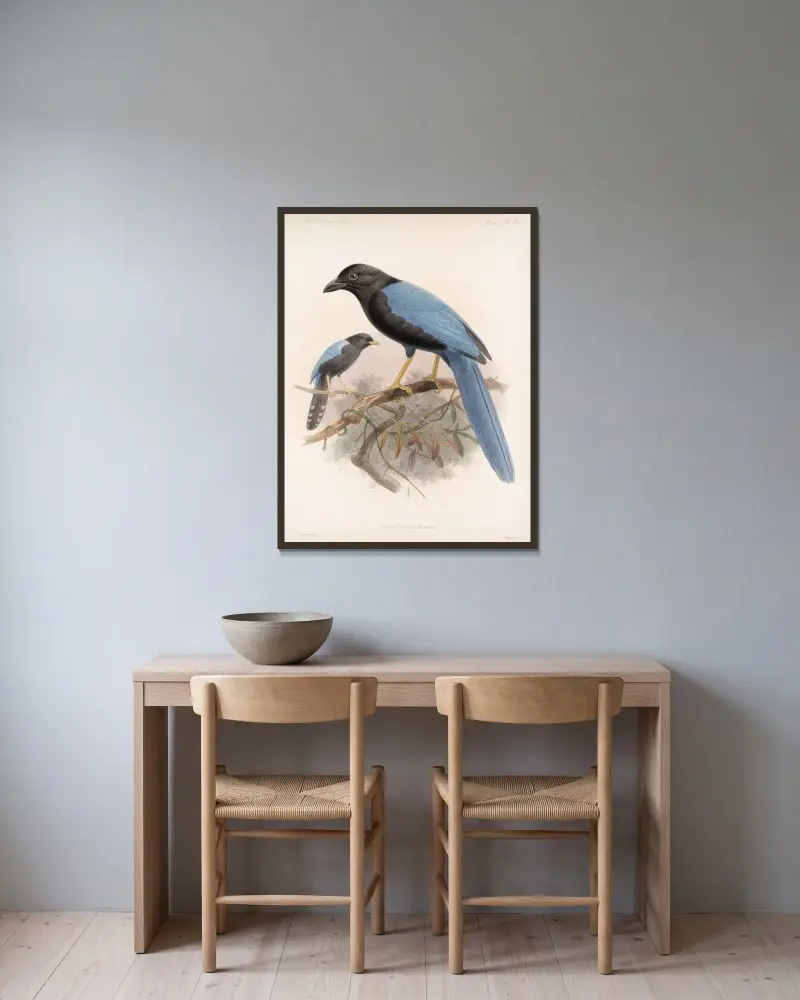 Aves Pl 36, Frederick DuCane Godman w ramie na ścianie