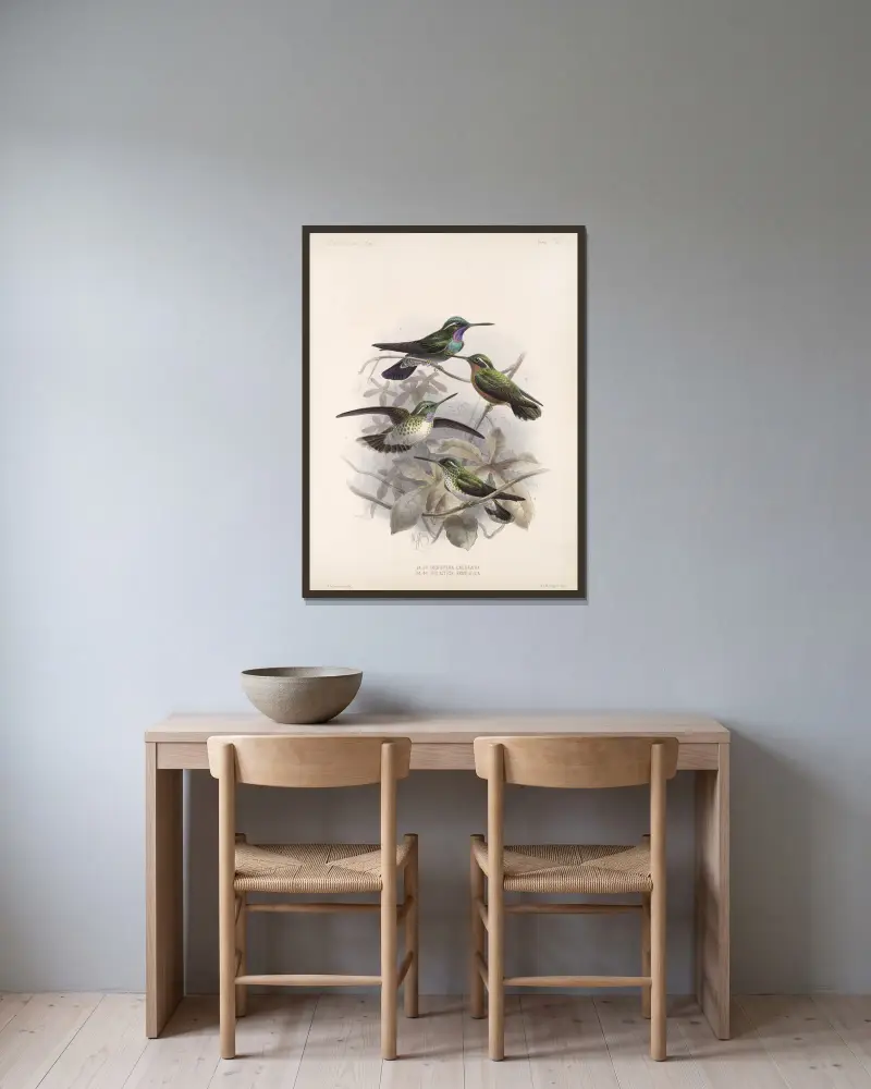 Aves Pl 55, Frederick DuCane Godman w ramie na ścianie