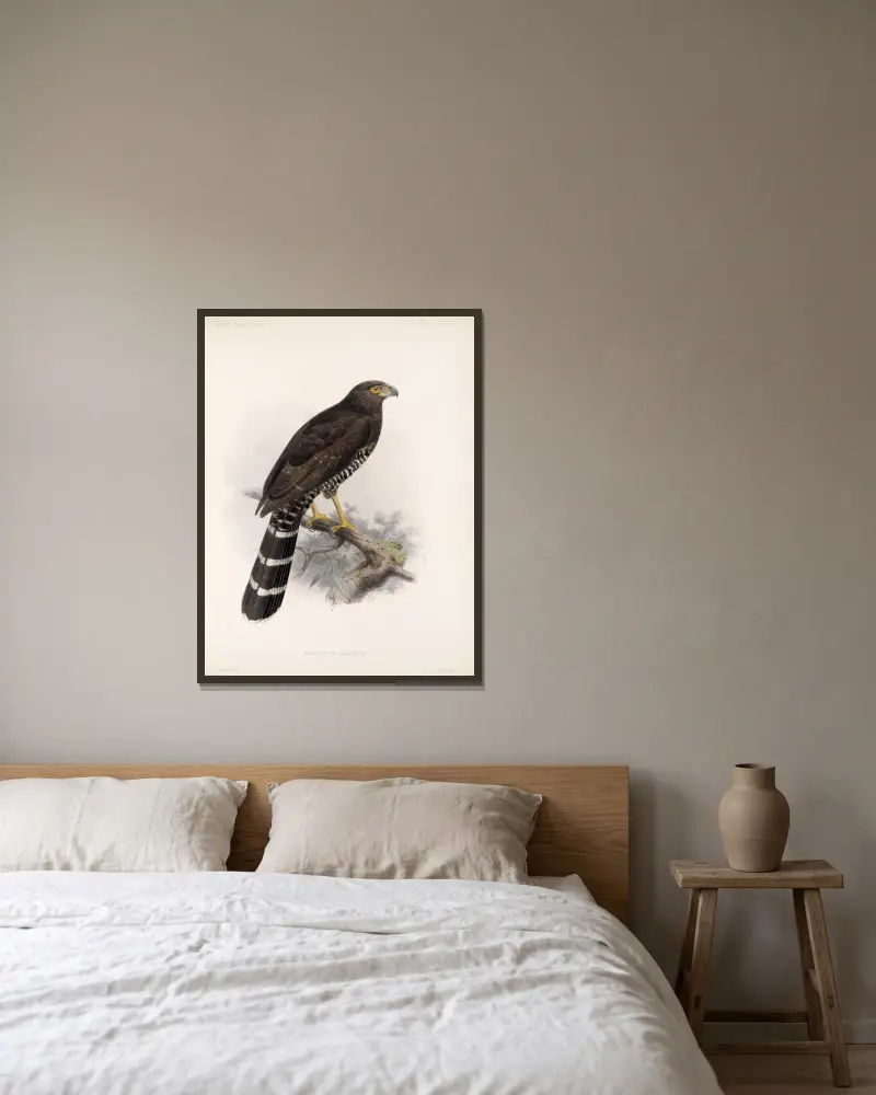Aves Pl 70, Frederick DuCane Godman v rámu na stěně