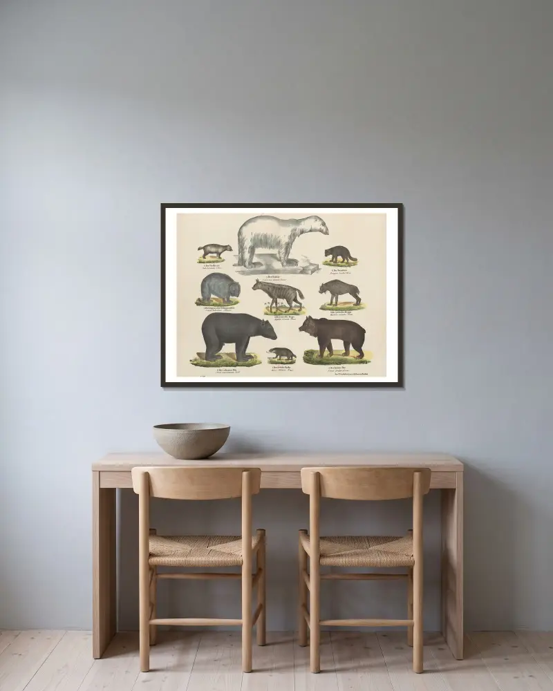 Atlas zoologiczny w 45 tablicach Pl.03 av D. E. Friedlein inramad på en vägg