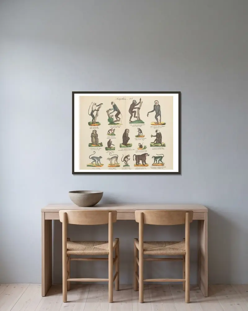 Atlas zoologiczny w 45 tablicach Pl.05 av D. E. Friedlein inramad på en vägg