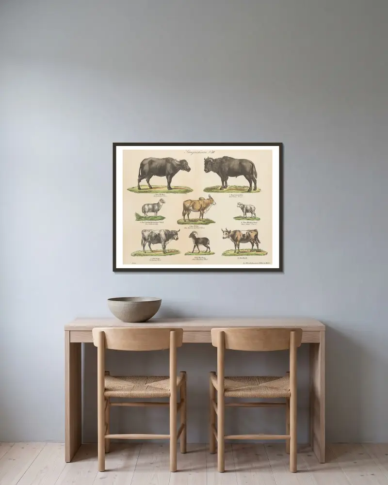 Atlas zoologiczny w 45 tablicach Pl.12 av D. E. Friedlein inramad på en vägg