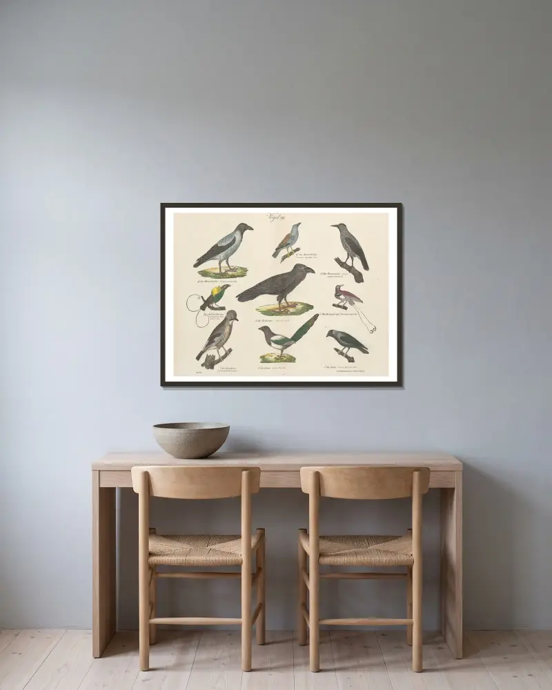 Zoologischer Atlas in 45 Tafeln, Tafel 22 von D. E. Friedlein gerahmt an einer Wand