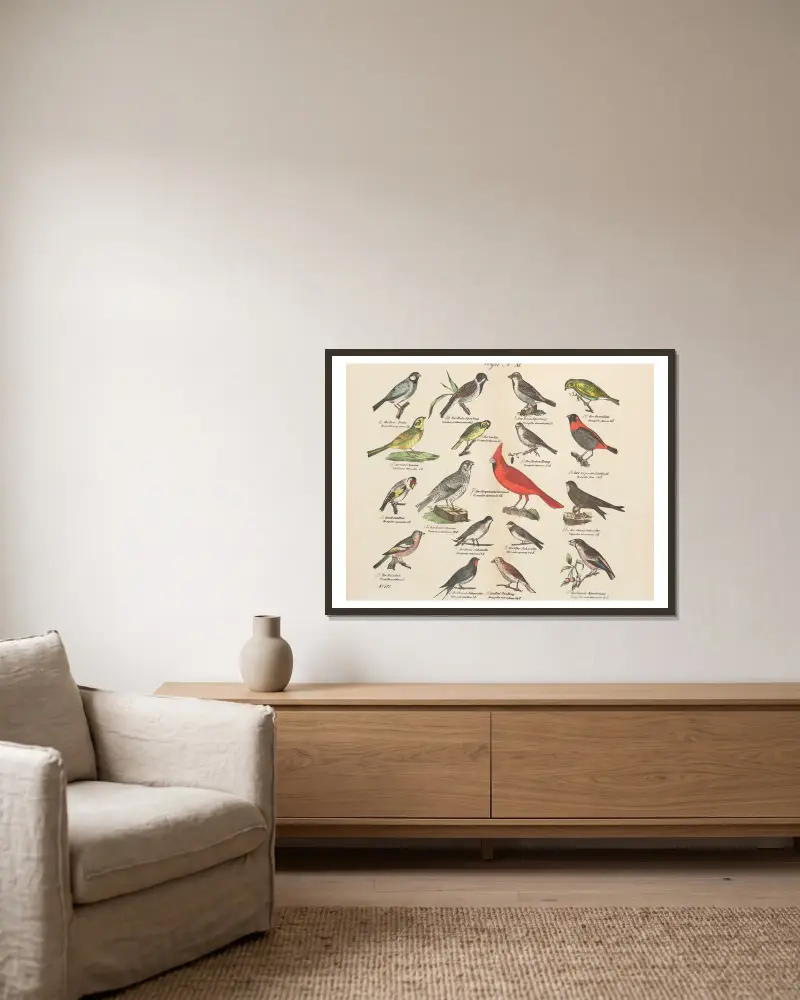 Atlas zoologiczny w 45 tablicach Pl.25 av D. E. Friedlein inramad på en vägg