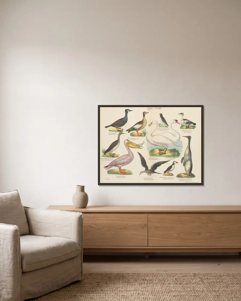 Zoologischer Atlas in 45 Tafeln, Tafel 32 von D. E. Friedlein gerahmt an einer Wand