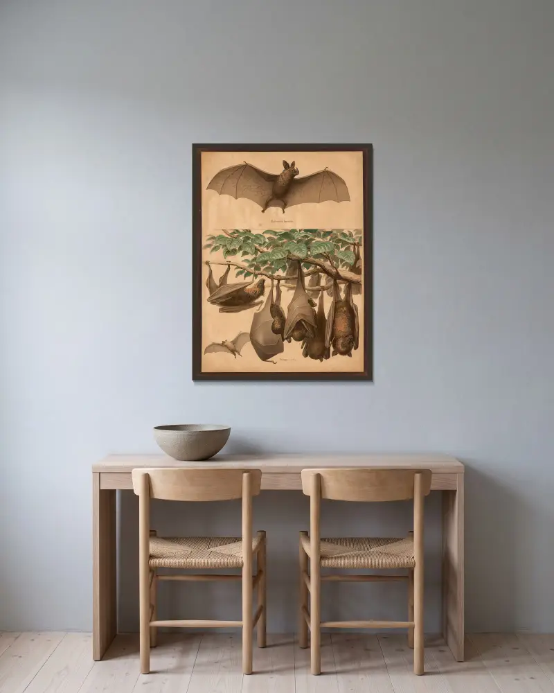 Fledermaus, Schwarzaugiger Flughund von F. E. Wachsmuth gerahmt an einer Wand