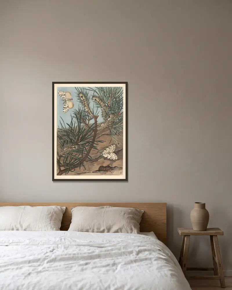 Schwarze Bögen (Nonne) von F. E. Wachsmuth gerahmt an einer Wand
