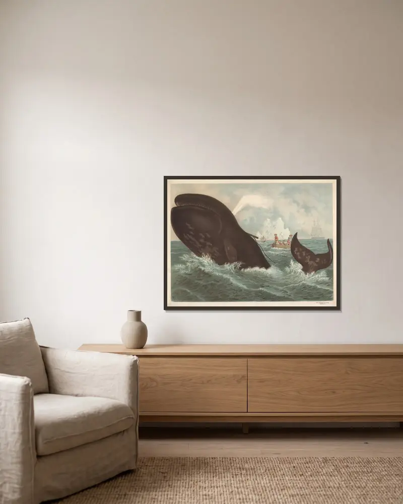 Grönlandsval von F. E. Wachsmuth gerahmt an einer Wand
