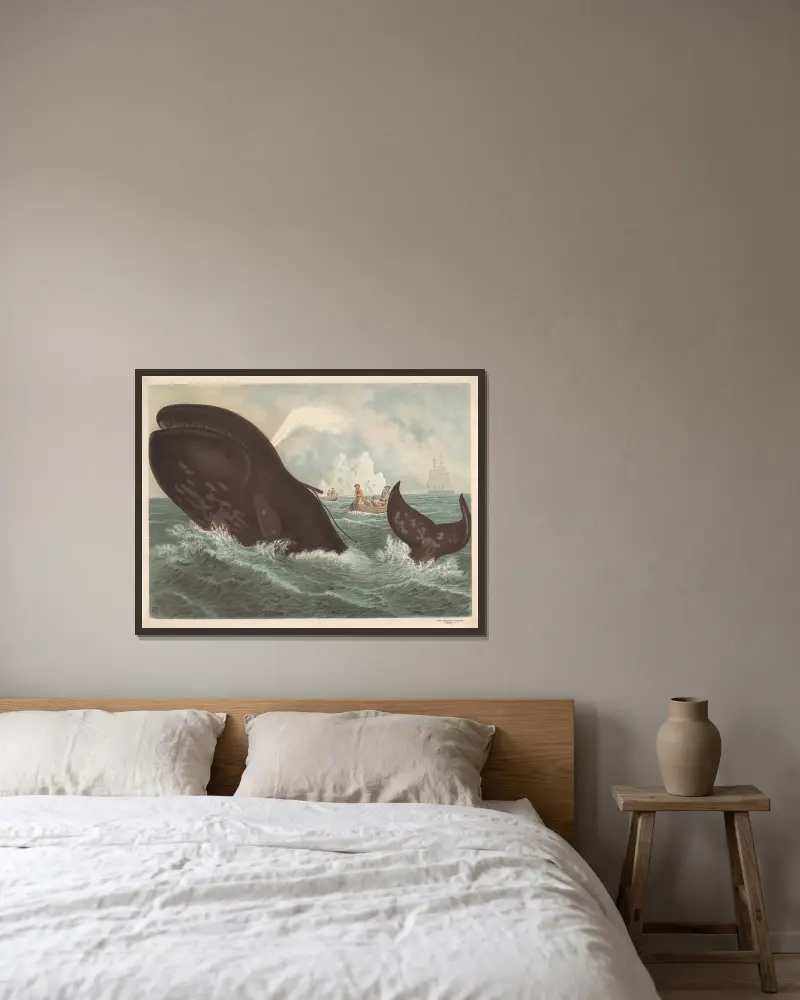 Grönlandsval von F. E. Wachsmuth gerahmt an einer Wand