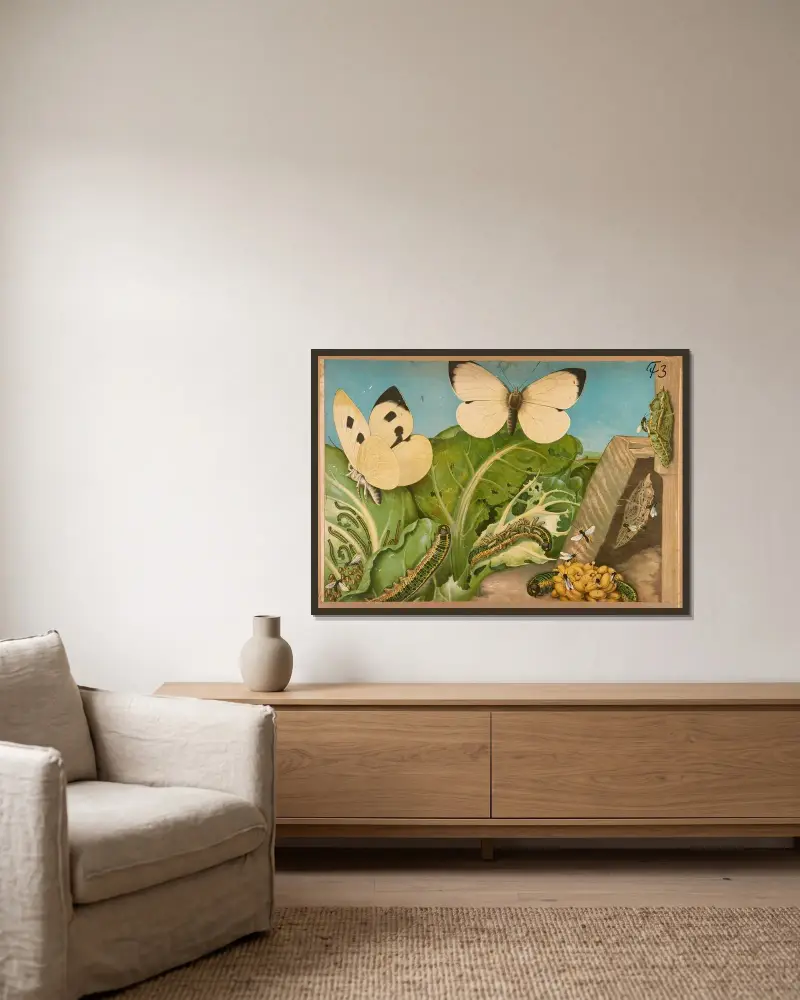 Cabbage butterfly von F. E. Wachsmuth gerahmt an einer Wand