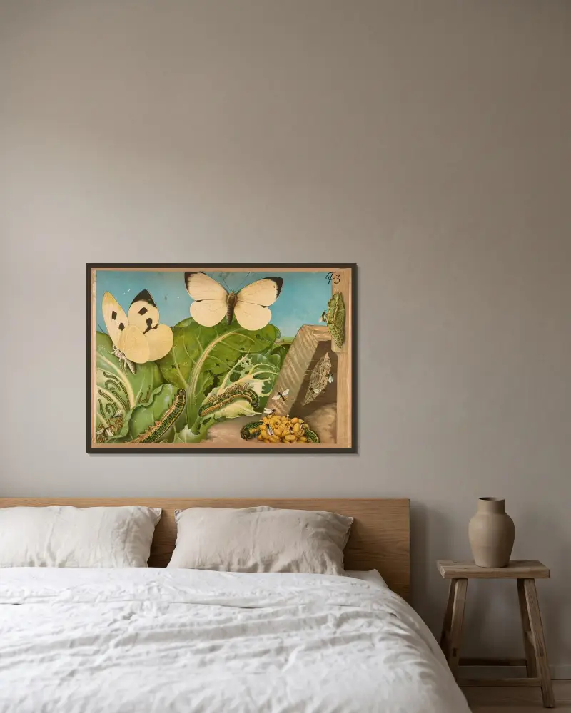 Cabbage butterfly von F. E. Wachsmuth gerahmt an einer Wand