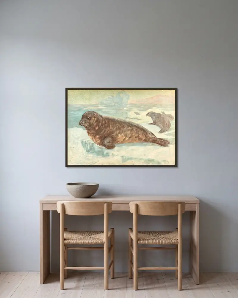 Harp seal av F. E. Wachsmuth inramad på en vägg