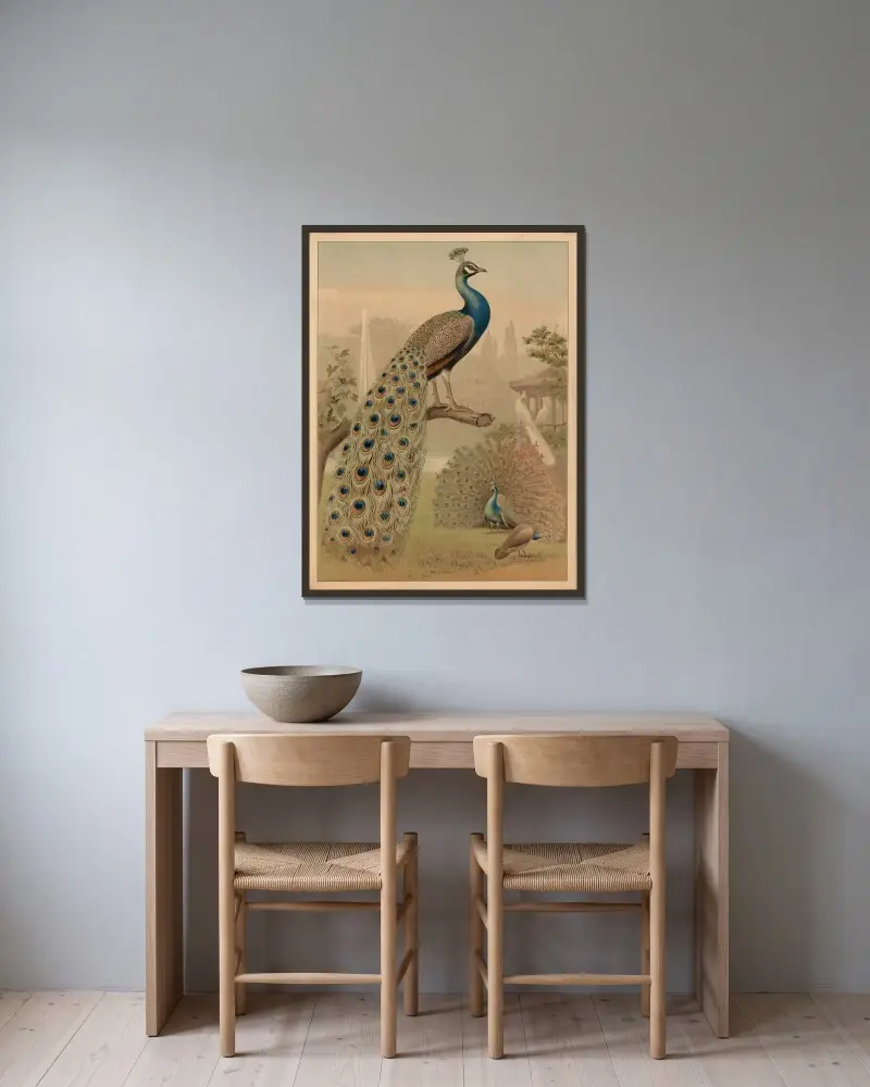 Peafowl (Pavo cristatus) av F. E. Wachsmuth inramad på en vägg
