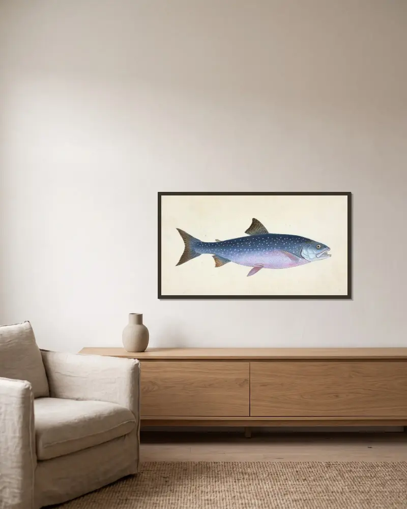Alpine Charr, Salmo alpinus av Edward Donovan inramad på en vägg