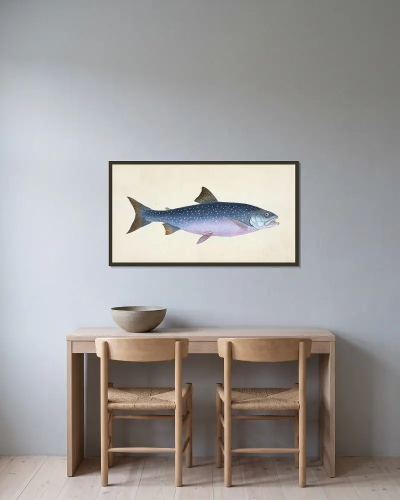Alpine Charr, Salmo alpinus av Edward Donovan inramad på en vägg