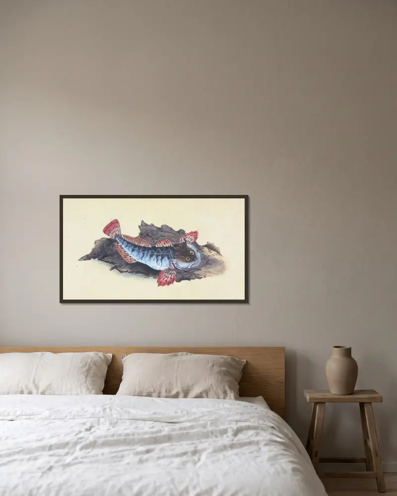 Father Lasher, or Sea Scorpion, Cottus Scorpius av Edward Donovan inramad på en vägg