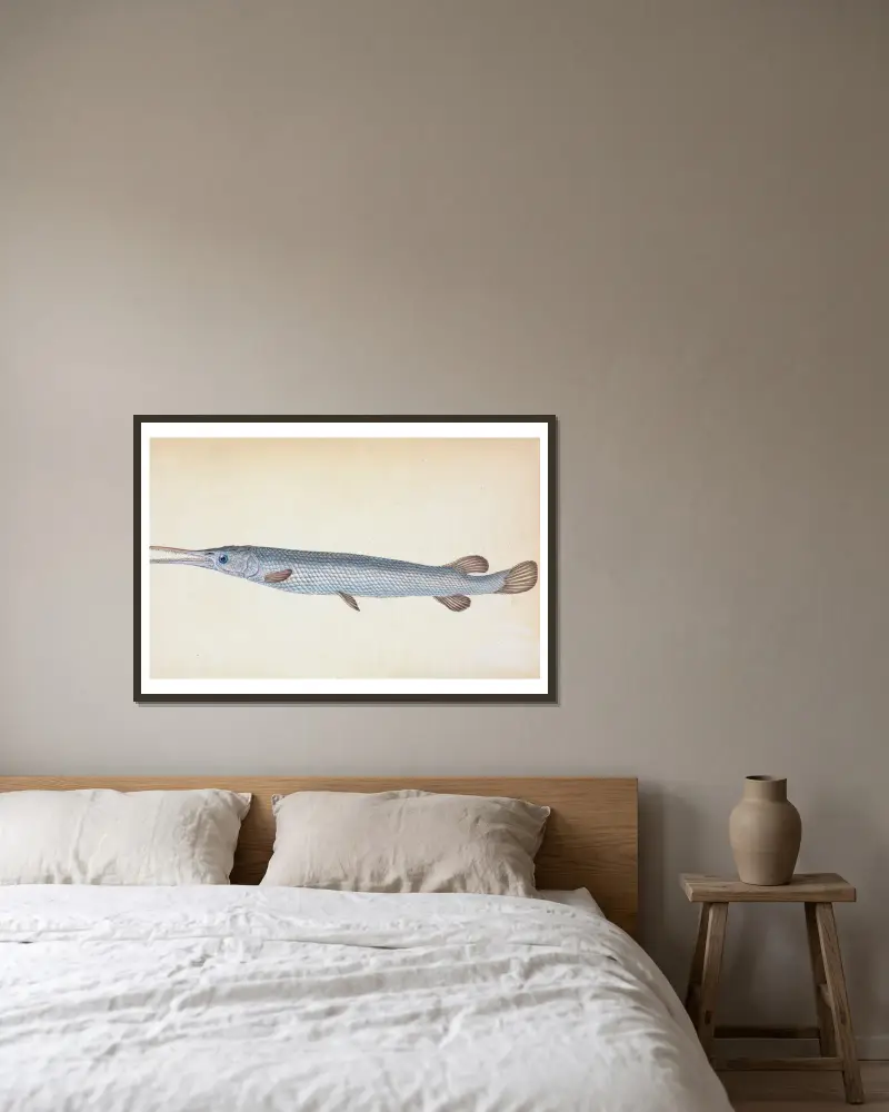 Great, or Bony Gar-fish, Esox Osseus av Edward Donovan inramad på en vägg