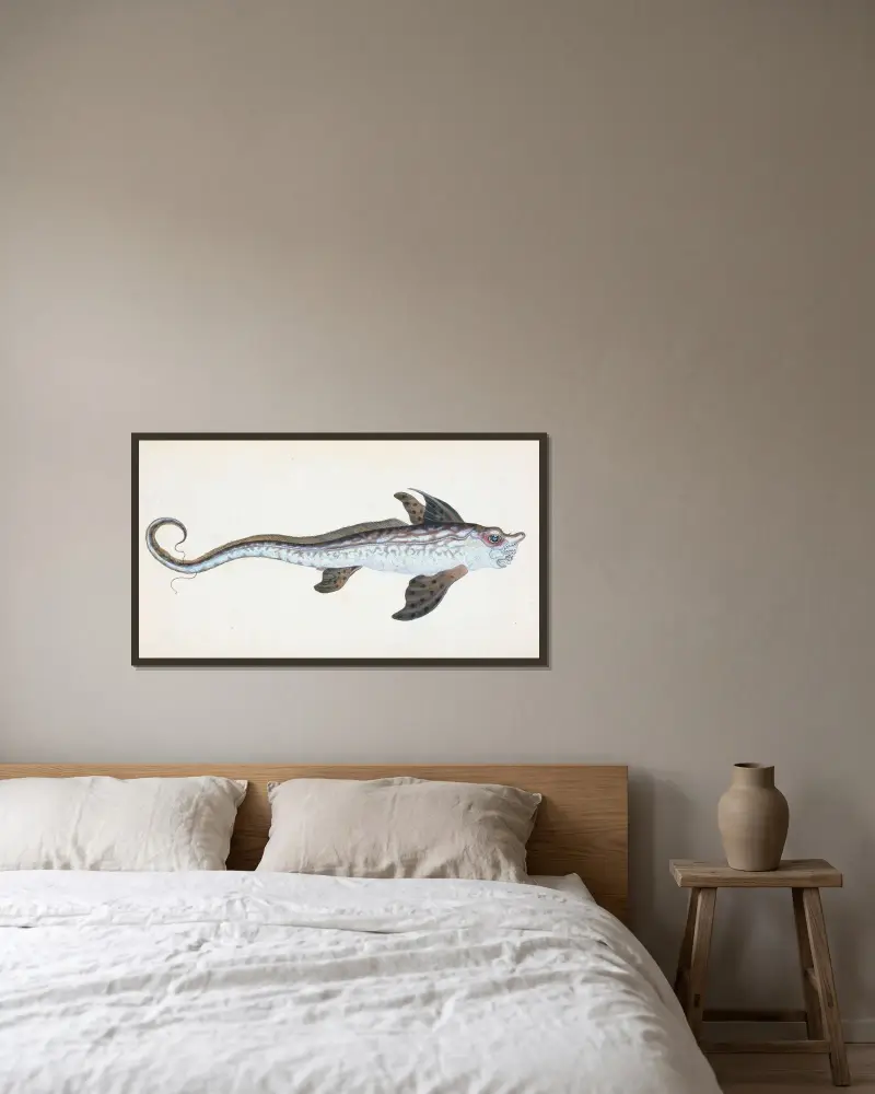 Sea Monster, Chimera Monstrosa av Edward Donovan inramad på en vägg