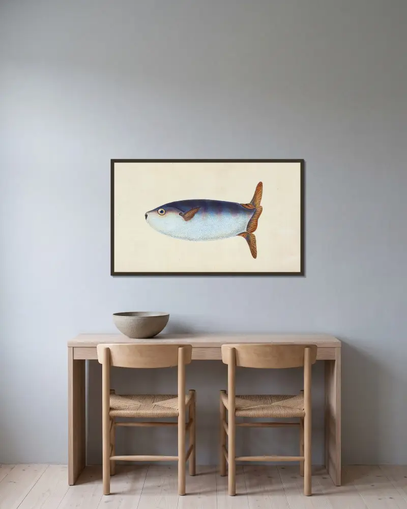 Truncated Sun-fish, Tetrodon truncatus av Edward Donovan inramad på en vägg