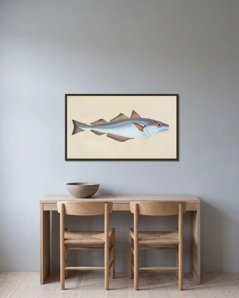 Whiting, Gadus Merlangius av Edward Donovan inramad på en vägg