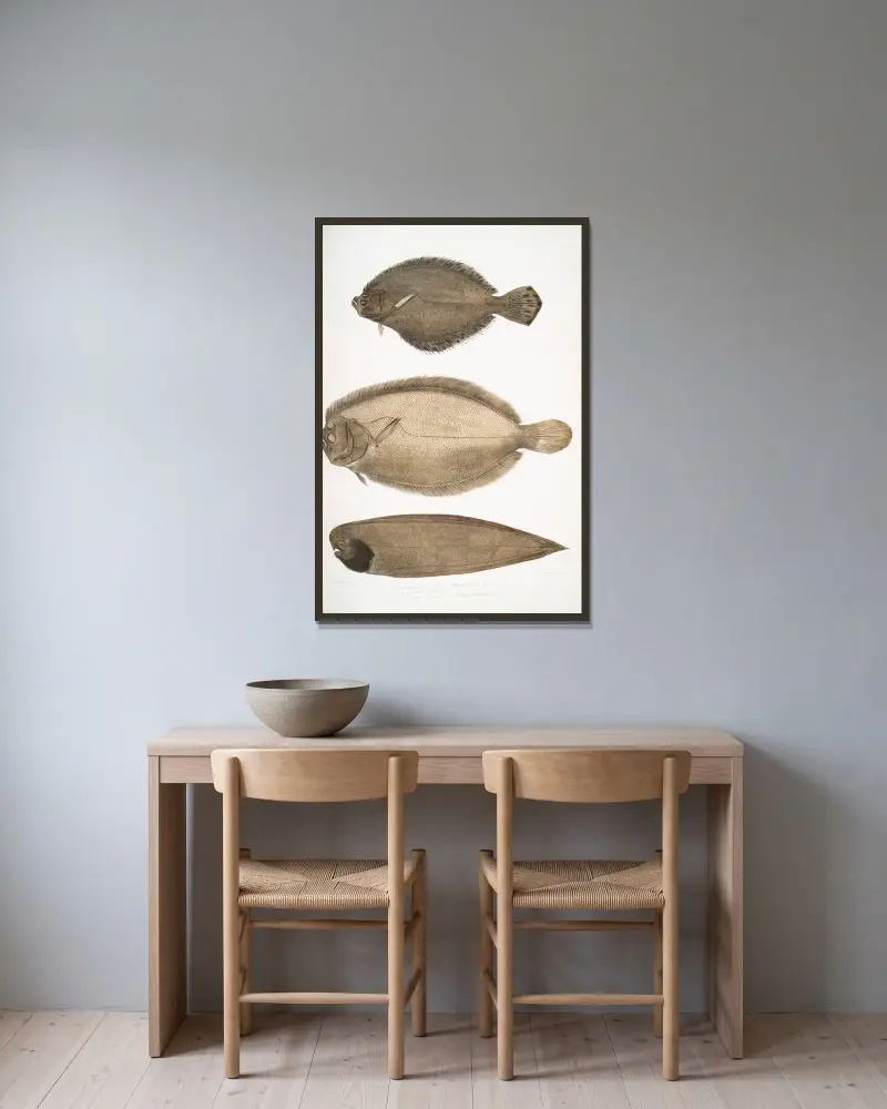 1. Chinese Plaice, Platessa Chinensis; 2. Dr. Russell’s Plaice, Platessa Russellii; 3. Short lined Finless Sole, Plagusia abbreviata. China. av John Edward Gray inramad på en vägg