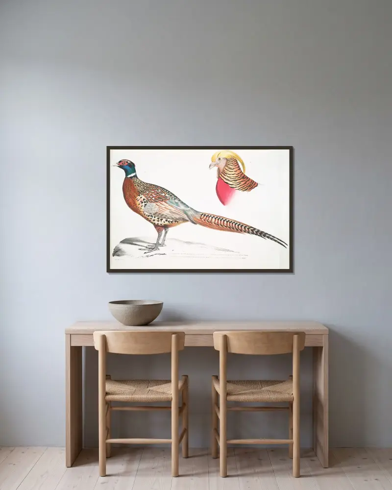 1. Kinesisk ringhalsad fasan, Phasianus torquatus; 2. Huvud av guldfasan, Chrysolophus pictus av John Edward Gray inramad på en vägg