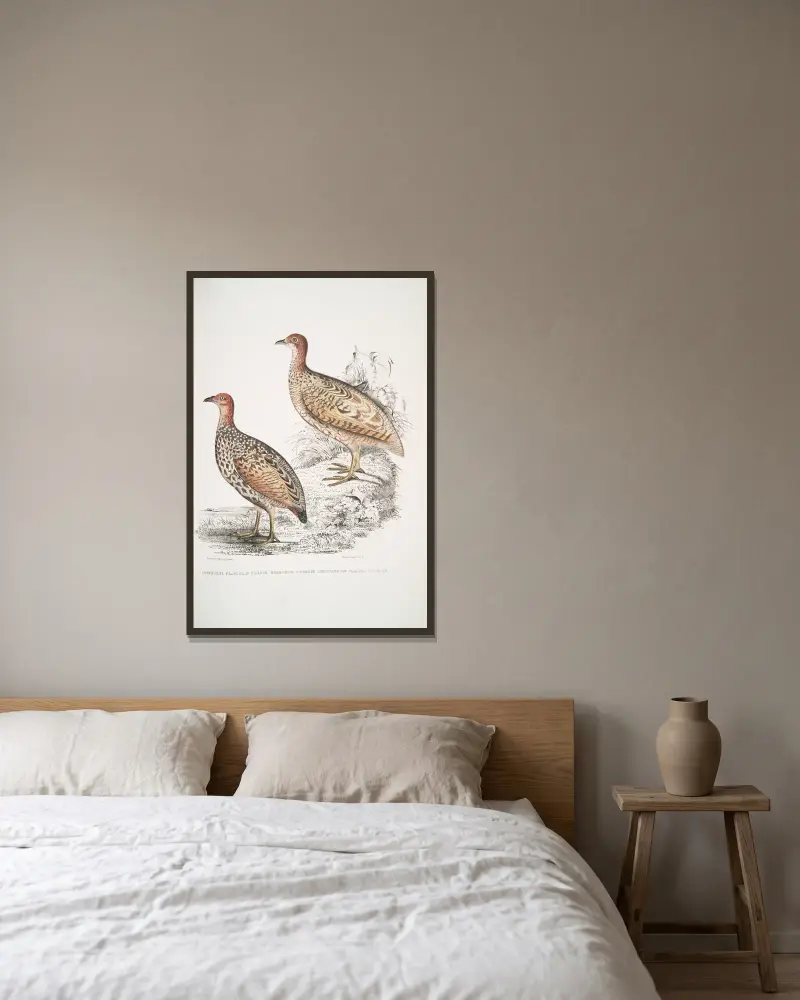 1. Hepburn’s Francolin, Perdix Hepburnii; 2. Perdix Hepburnii, var. Pallida odypore. av John Edward Gray inramad på en vägg