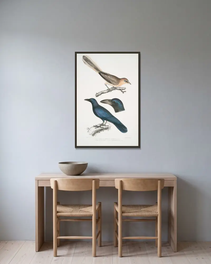 1. Pale Eared Jay, Garrulus albifrons; 2. Large Billed Crow, Corvus macrorhynchus. av John Edward Gray inramad på en vägg