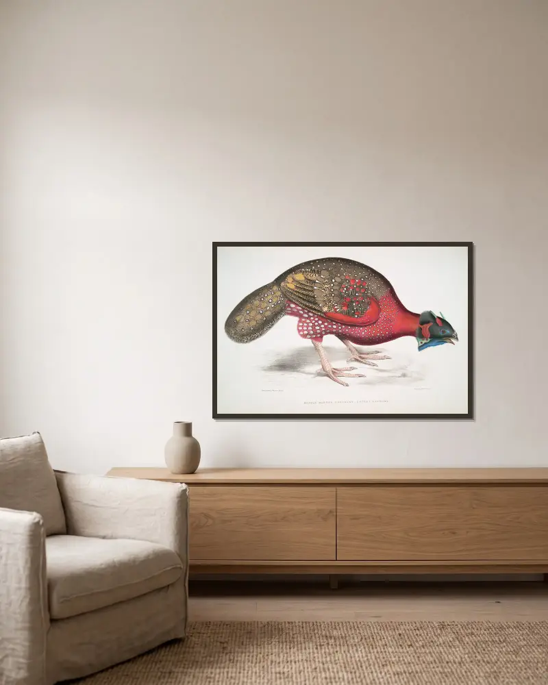 Bengal Horned Pheasant, Satyra Lathami. av John Edward Gray inramad på en vägg