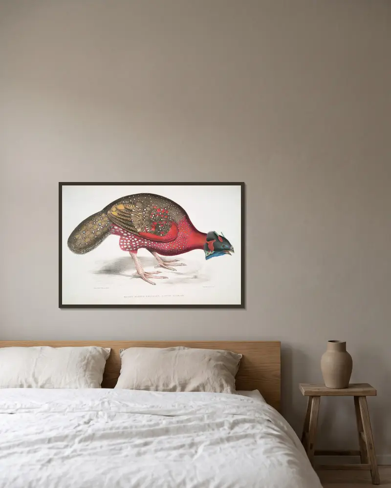 Bengal Horned Pheasant, Satyra Lathami. av John Edward Gray inramad på en vägg