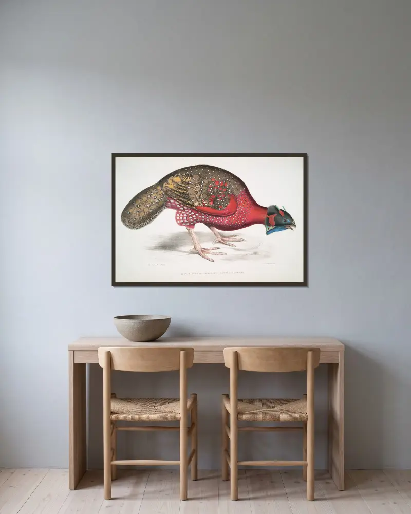 Bengal Horned Pheasant, Satyra Lathami. av John Edward Gray inramad på en vägg