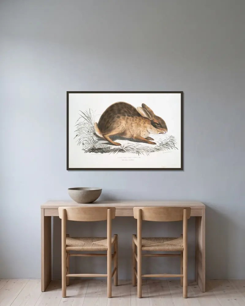 Čínský zajíc, Lepus sinensis, John Edward Gray v rámu na stěně