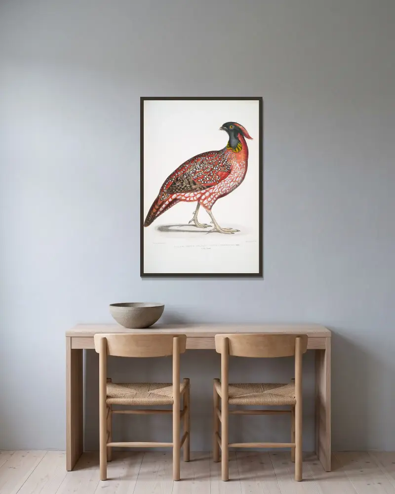 Chinese Horned Pheasant, Satyra Temminckii av John Edward Gray inramad på en vägg