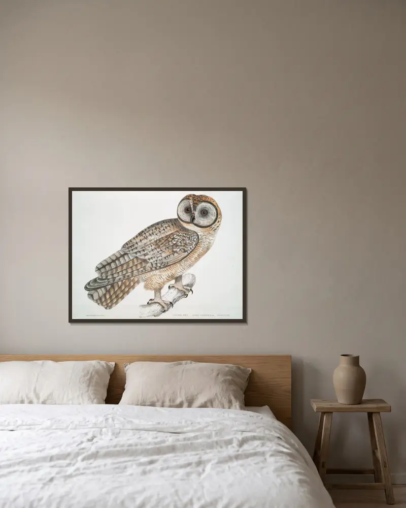 Čínská sova, Strix Sinensis, John Edward Gray v rámu na stěně