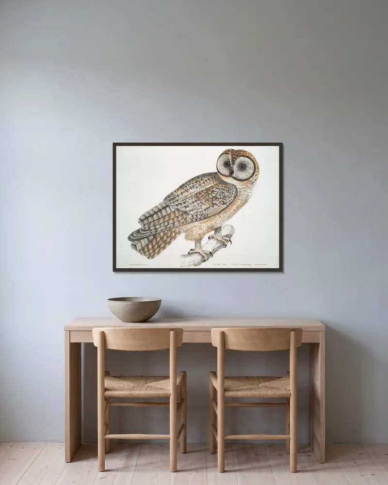 Čínská sova, Strix Sinensis, John Edward Gray v rámu na stěně