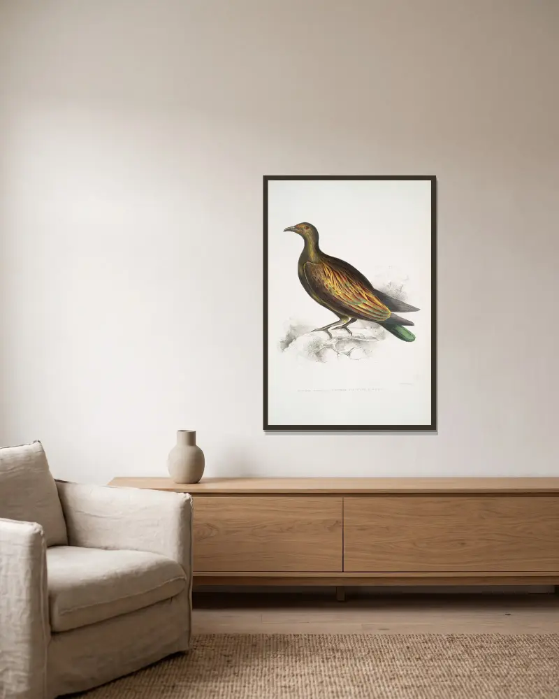 Chinese Tippeted Pigeon, Columba Gouldioe. av John Edward Gray inramad på en vägg