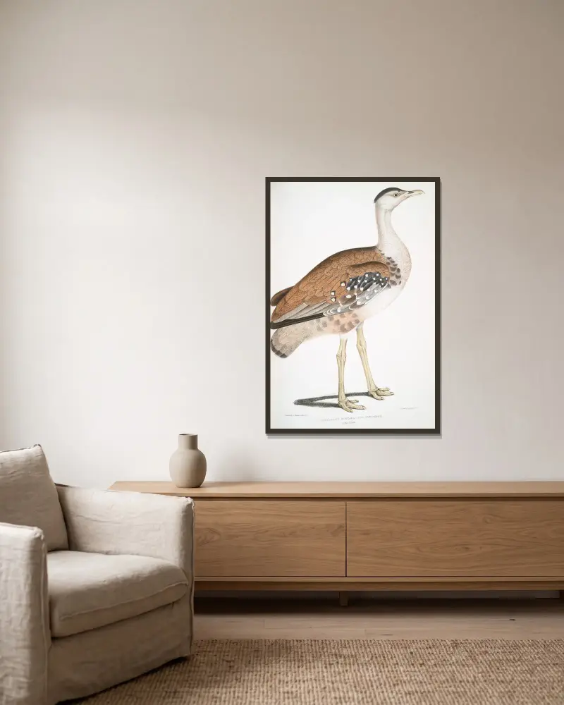 Edward’s Bustard, Otis Edwardsii av John Edward Gray inramad på en vägg