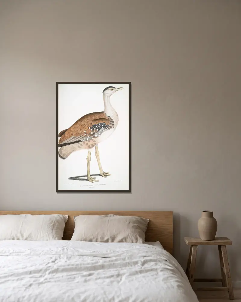 Edward’s Bustard, Otis Edwardsii av John Edward Gray inramad på en vägg