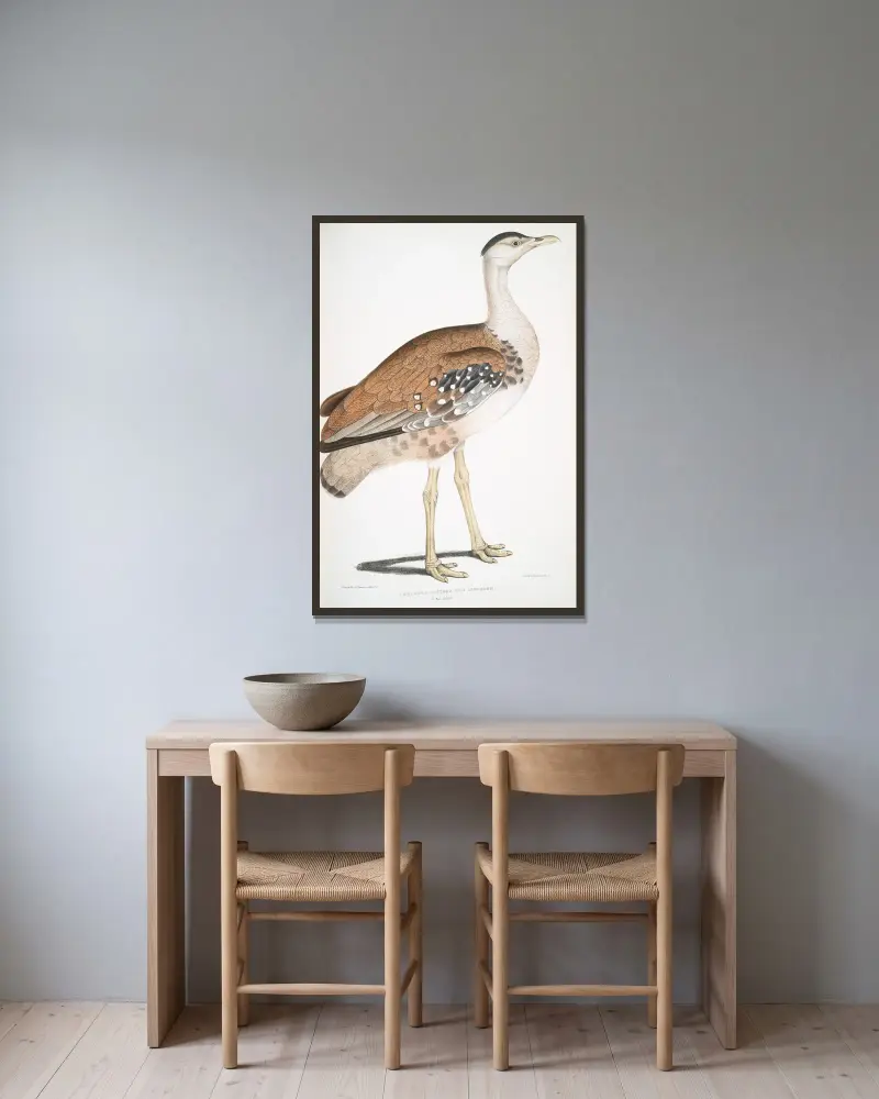 Edward’s Bustard, Otis Edwardsii av John Edward Gray inramad på en vägg